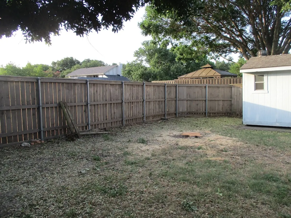 Cleared yard after professional tree removal in Astoria